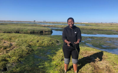 Coastal Vegetated Ecosystems