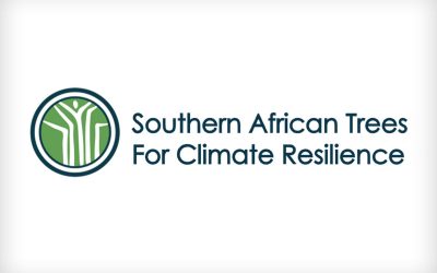 Southern African Trees for Climate Resilience: Bionformatics approach