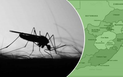 Climate change, human mobility and Disease Dynamic: case of Malaria in South Africa